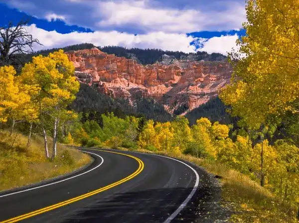 Scenic Cedar Mountain road through fall trees