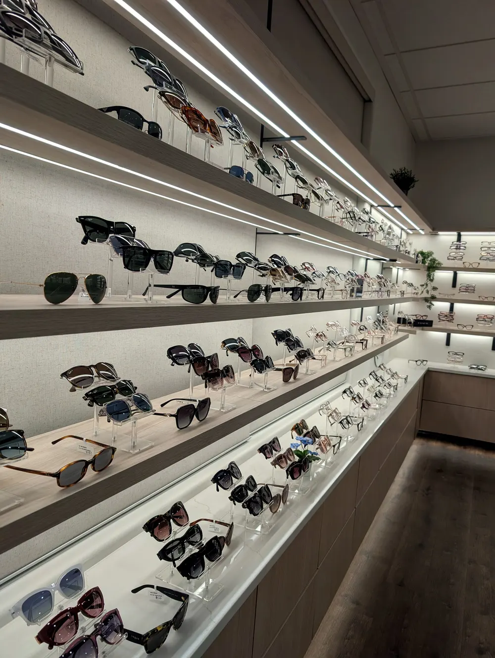 Prescription sunglasses and frame options for Utah sun at Cedar Valley Eyecare